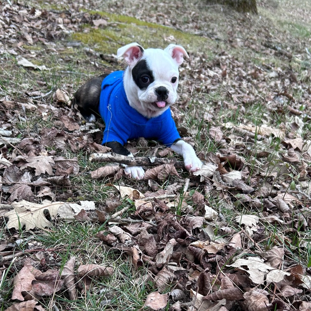 Jamie here - Picture 7 of 8